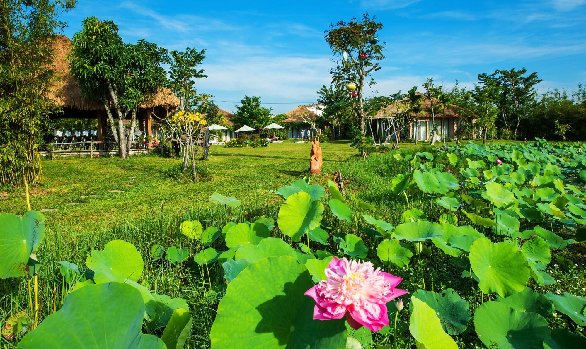 Allamanda Estate Hoi An Exteriér fotografie